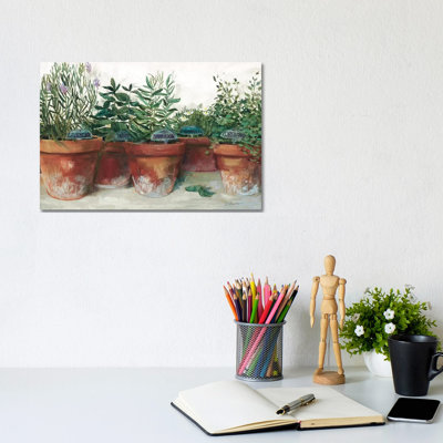 Pots of Herbs I White 1 Piece Wrapped Canvas Wall Art