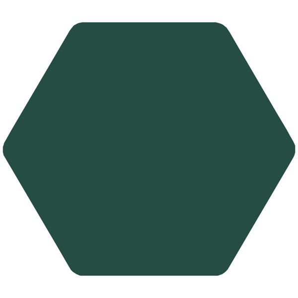Toscana 10" x 11" Hexagon Wall & Floor Tile