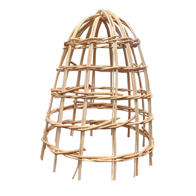 Cloche de saule