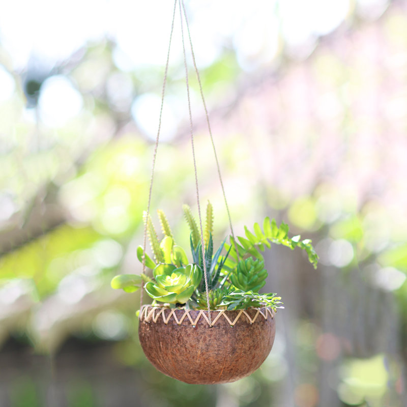 Albizu Hanging Planter