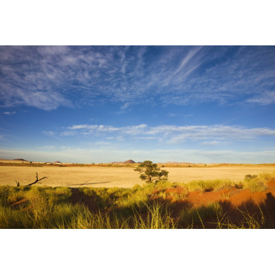 Steppe in The Morning Sun by Lucynakoch