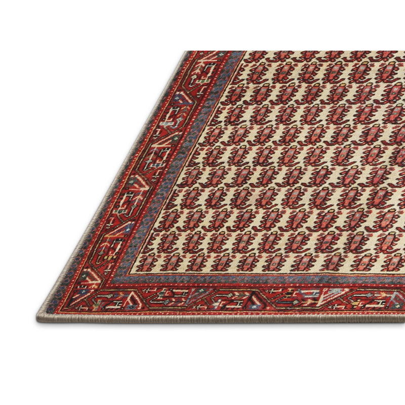 Tapis traditionnel rouge / crème, Rectangle 2 pi x 4 pi