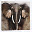 « majestic rencontre », reproduction sur toile-31496114-73278458-73280768