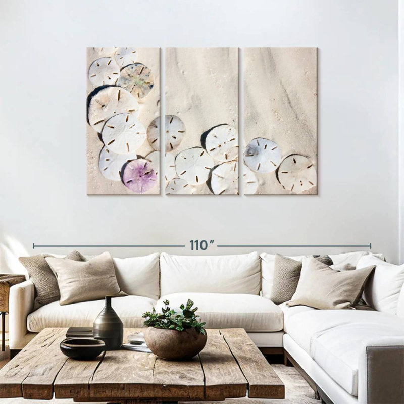 Brampt Beach Sand Dollars, 48" H x 74" W