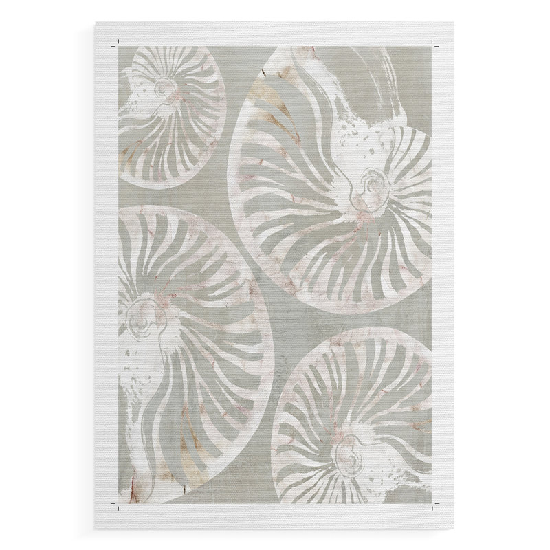 Collection Nautilus Shell - impression sur toile seulement - NON-CADRE, H 48 po x l 32 po