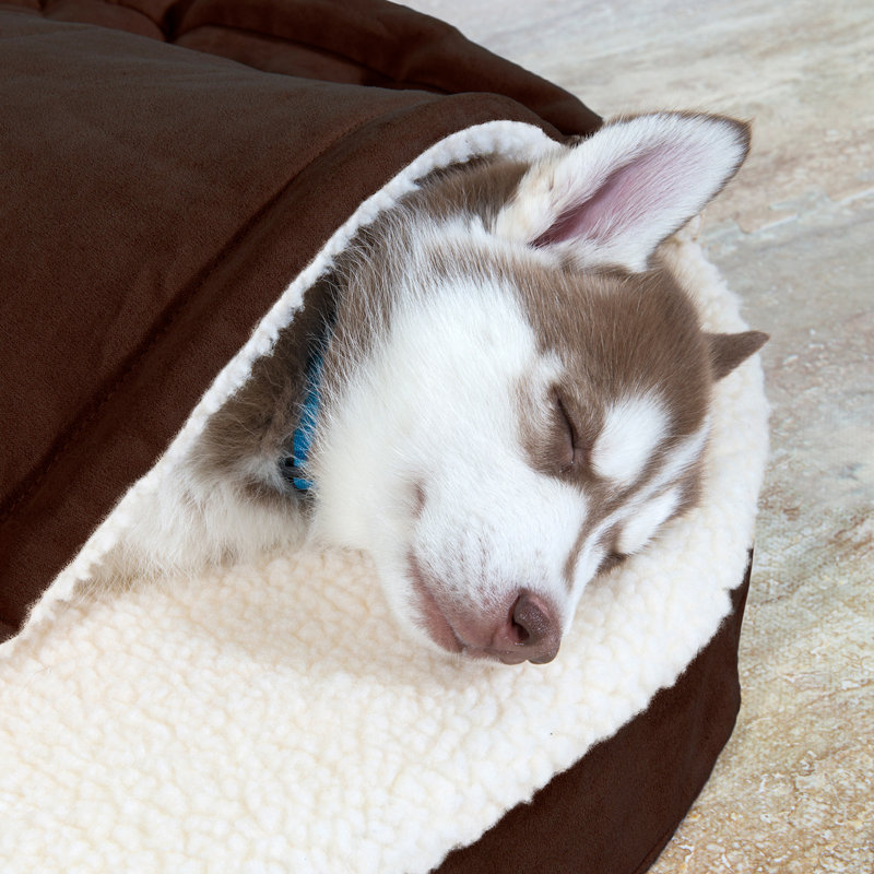 Faux Sheepskin Round Hooded Orthopedic Dog Bed, Espresso, Medium (26" W x 26" D x 3" H)