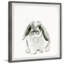 McLoud Plump Bunny Framed Print-567706393