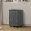 Classeur vertical mobile 2 tiroirs Lusila-189219810