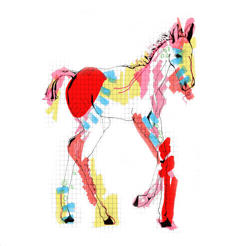 Stefield Casey Rogers couleur de cheval - impression, H 12 po x l 12 po, Non, Toile tendue