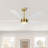 5 Blades Indoor Ceiling Fan Dimmable LED Light Kit And Remote , 6-Speed Noiseless Reversible DC Motor-2048701226-2054405702