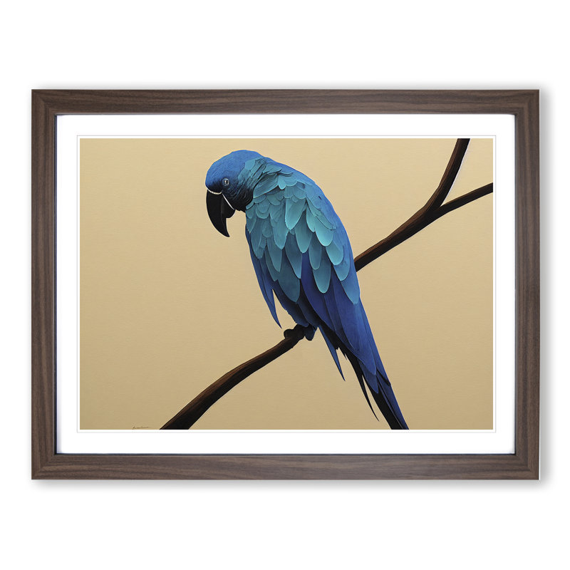 XH1022-6883X Perched Parrot - Single Picture Frame Print, 46cm H x 64cm W x 2cm D, Walnut Framed