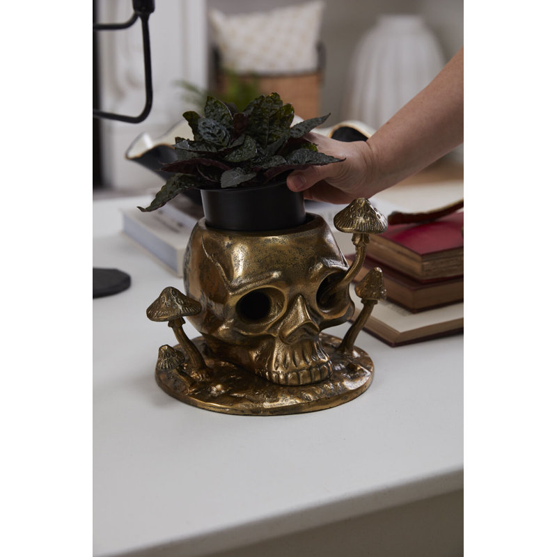 Aamir Cranium Pot