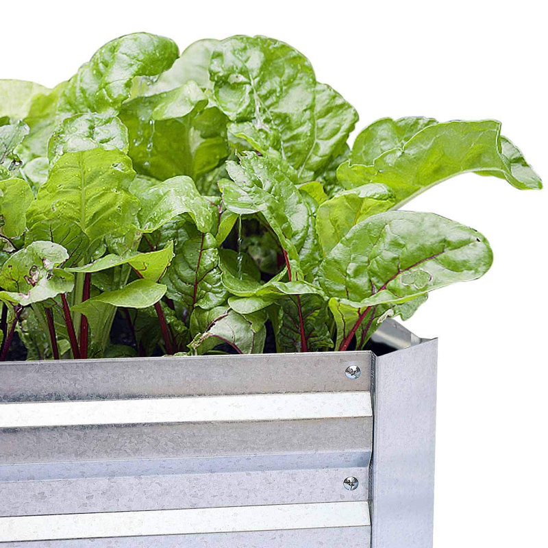 Plant Stand