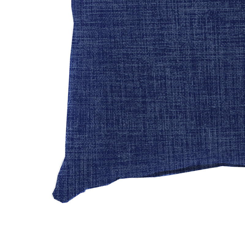 16" x 16" Outdoor Throw Pillow, Blue