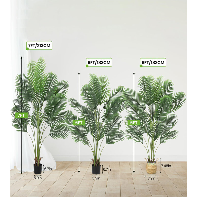 84 plantes