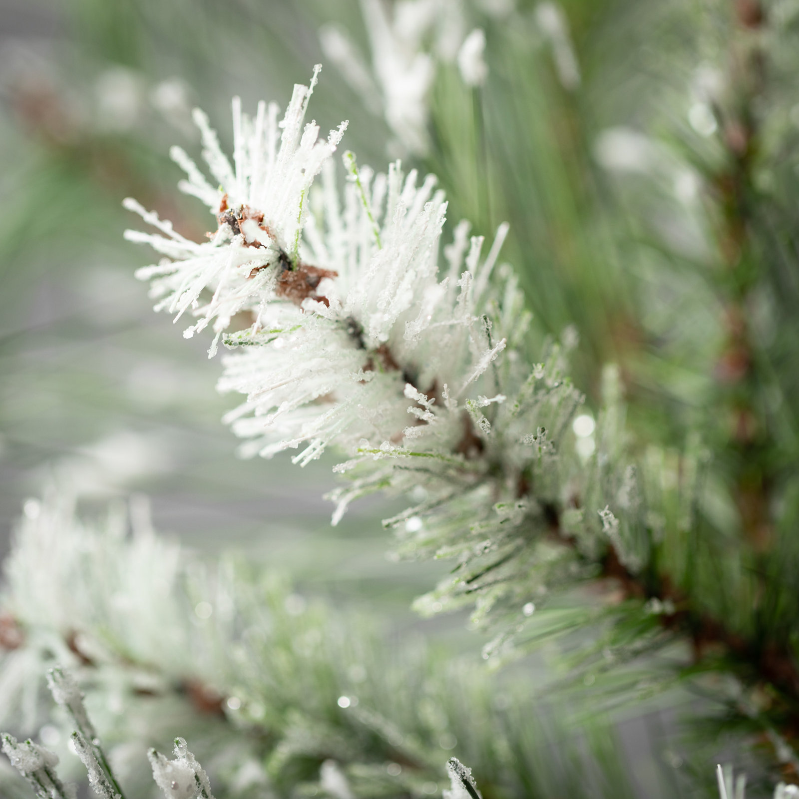 Pham Pine Spray