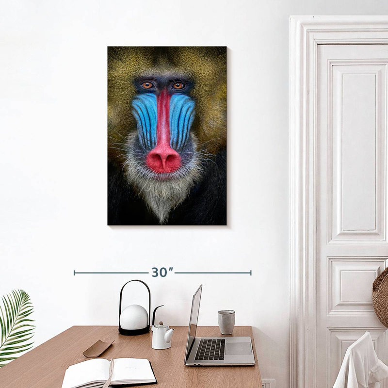 Singe Brampt, H 30 po x l 20 po