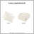 Animal Chenille Comforter Set