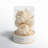 Boxed Fall Pumpkin Decorative Accent-29754926