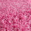 Tapis rose Renesha-1433677271