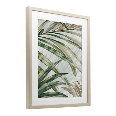 «Tropical Frond Impressions», reproduction sous verre encadrée, design par Alex Black