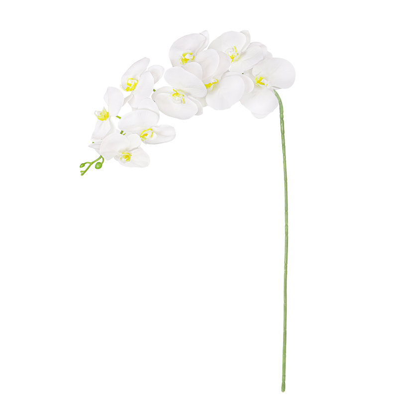 Tige de fleur d'orchidée artificielle, Blanc