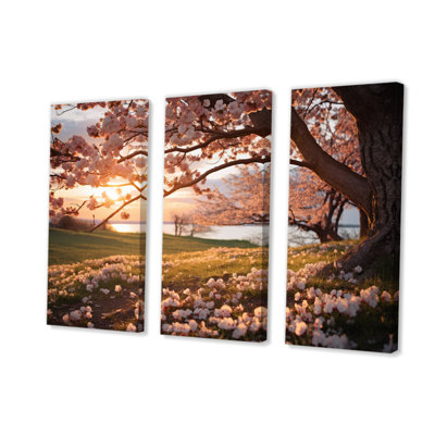 " Pink Cherry Blossom Field II " 3 - Pieces