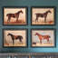 English Riding Horses Framed Print