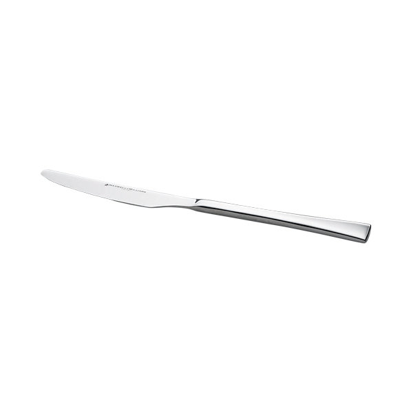 Stainless Steel Dinner Knife