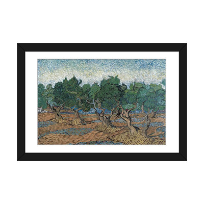 " Olive Grove, 1889 " by Vincent Van Gogh Oil