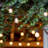 12 - Bulb 312'' Plug-in String Light