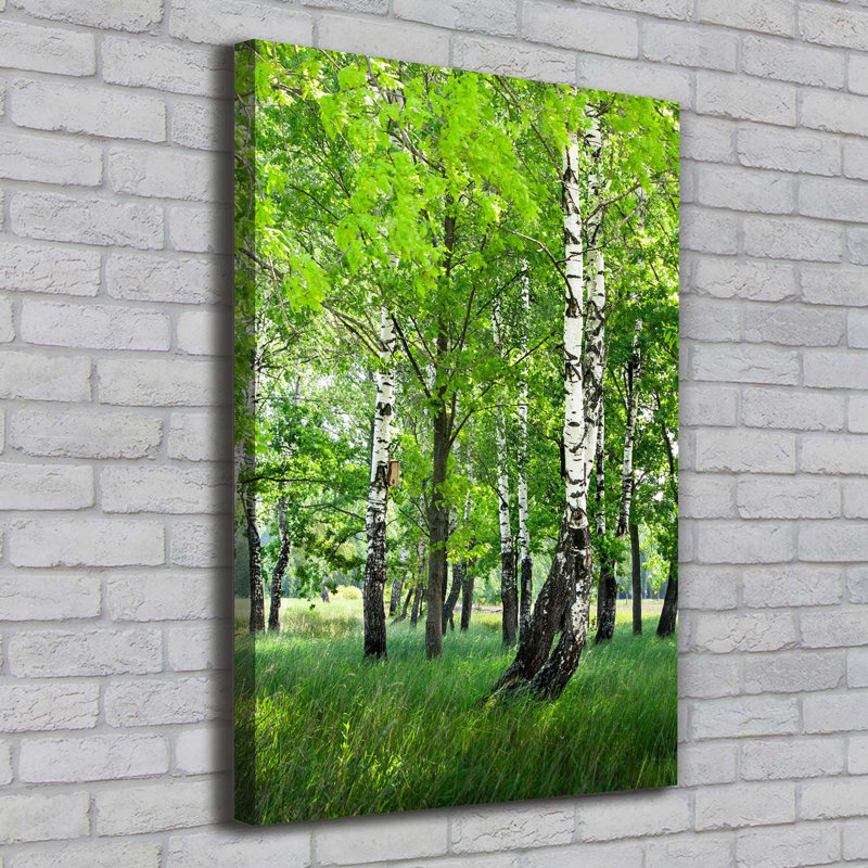 Birch Forest - Wrapped Canvas Print