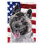 2 côtés en polyester de 2 côtés american drapeau de jardin-1288238580