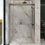 48 po X P 76 po H Porte de douche coulissante double demi-cadre en chrome