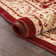 Greisy Oriental Indoor Rug