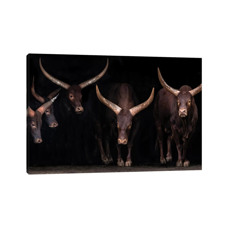 Watusi Family by Xavier Ortega - Print on Canvas, Wrapped Canvas, 45.72cm H x 66.04cm W x 3.81cm D