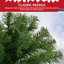 Arbre de Noël épinette 6 pi