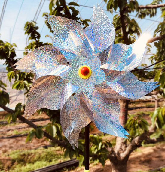 Wrought Studio™ 12 Pack Large Octagonal Reflective Pinwheels Outdoor ...