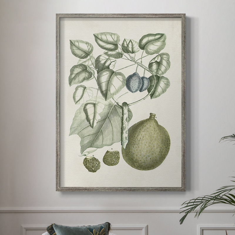 «Buchoz Tropicals», reproduction encadrée en bois massif, H 15 po x l 12 po