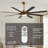 SkyFan Cygnus 65" 8-Blade Ceiling Fan