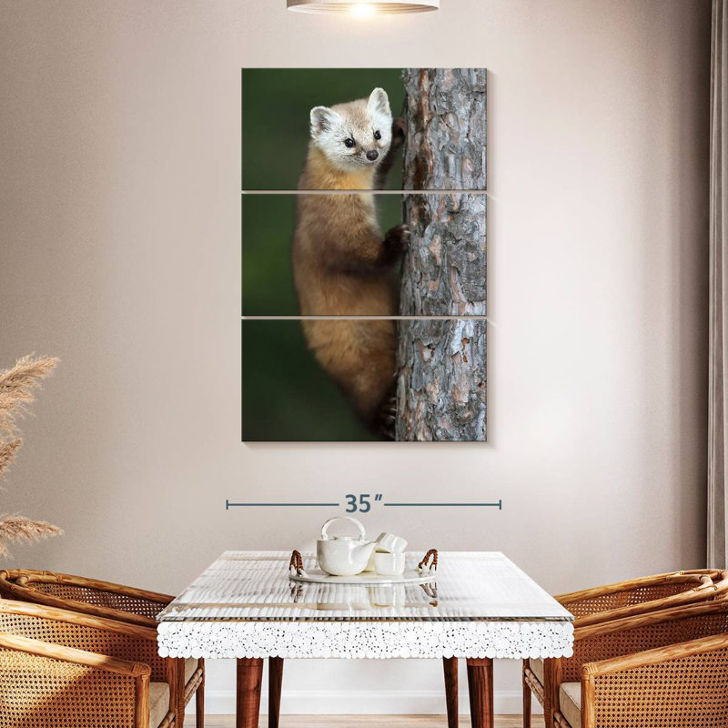 Brampt Wild American Marten, 50" H x 32" W