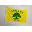 Drapeau de la ville d'Oakland - drapeau extérieur-1667318024