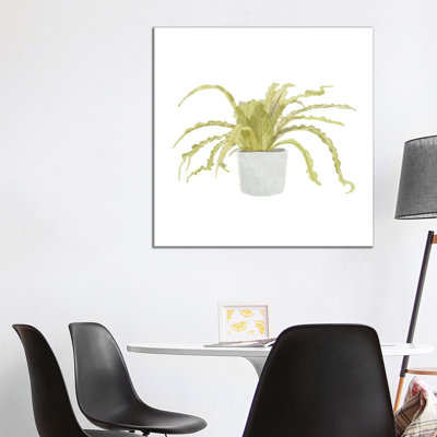 Potted Fern IV by Bannarot - Wrapped Canvas Print