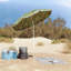 Market Parasol-1174400132-1174400185