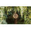 Cade 1 - Light Chandelier