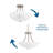 Carilynn Glass Semi Flush Mount-1428195027