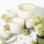 Feu de Bois Scented Jar Candle-38053201