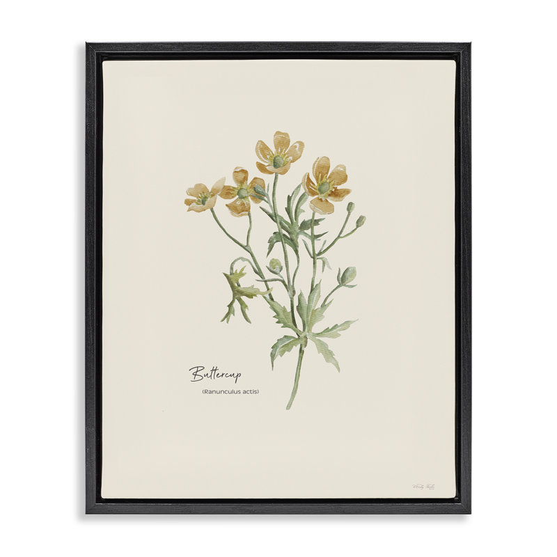 «Simple Buttercup Flowers» par Cindy Jacobs, Cadre flottant noir de jais, H 21 po x l 17 po