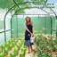 10 Ft W x 10 Ft D Greenhouse