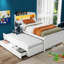 Lit plateforme simple avec lit gigogne avec rangement, tête de lit à DEL, 3 tiroirs, blanc et bois pour chambre à coucher de style 3 et confort solide-825515157